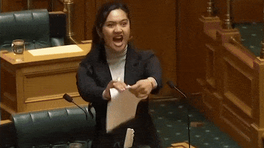 Haka in NZ parliament, November 2019.