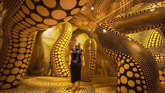 Visual Art Around Australia 2024 Gif