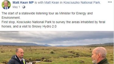 Matt Kean, the Energy and Environment Minister, visited Kosciuszko National Park to observe damage from 'feral horses'.