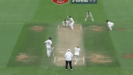 Nathan Lyon took 10 wickets in the Test.