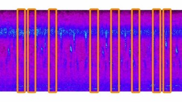 Analysis by Google of data gathered by Rainforest Connection can identify chainsaw sounds - as shown in the orange boxes - and alert campaigners of potential illegal logging.