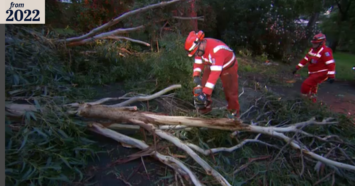 Melbourne weather: Wild winds bring trees down across Victoria