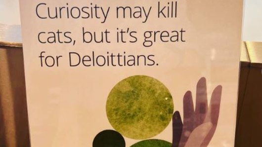 Introducing Deloitte, a poster child for the cringe era