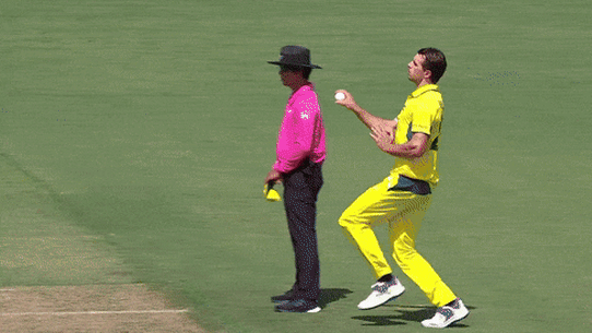 Marnus Labuschagne takes a stunning catch.