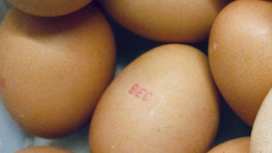 Some of the eggs that were recalled during the salmonella outbreak. 