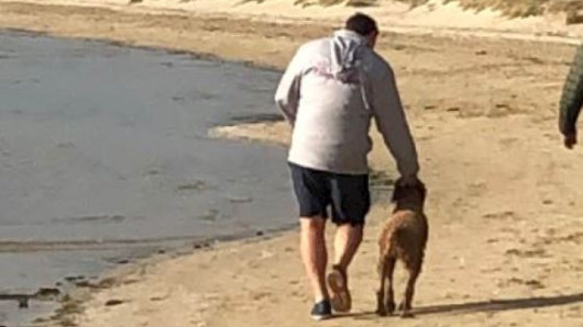 Police are appealing for witnesses after a man's dog attacked a swan on the beach at Sorrento. 