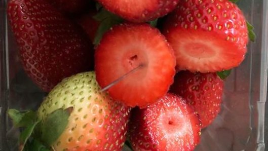 Anton La Macchia found a needle in a punnet of strawberries he bought at Woolworths on Monday.