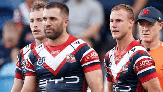 Roosters Manly sad GIF.