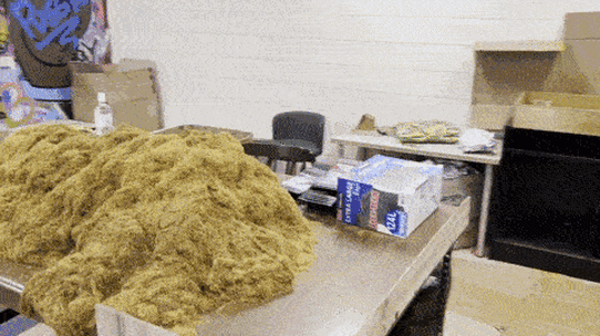 Queensland illegal cigarette trade: Secret tobacco storeroom revealed in  police raid north of Brisbane
