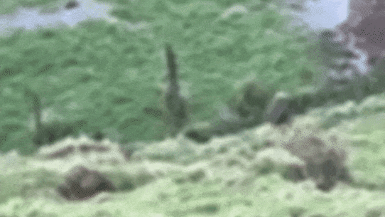 Tom Phillips and children.