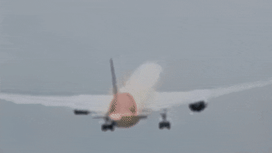 ‘No survivors’ from Air India plane crash with 242 passengers on board