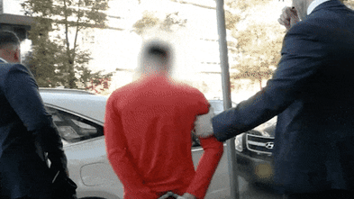 Man arrested over murder of Sydney woman snatched from home and set alight