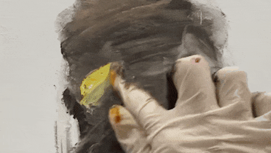 Loribelle Spirovski interview: Archibald Prize finalist speaks on her  joyous breakthrough