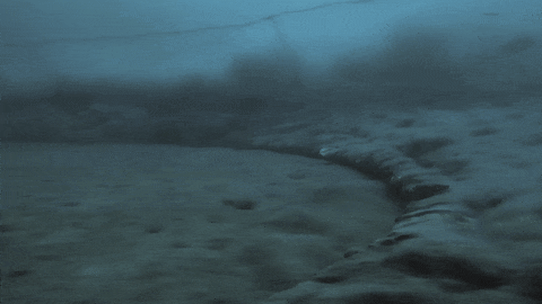 Bottom trawling footage from David Attenborough documentary Ocean.