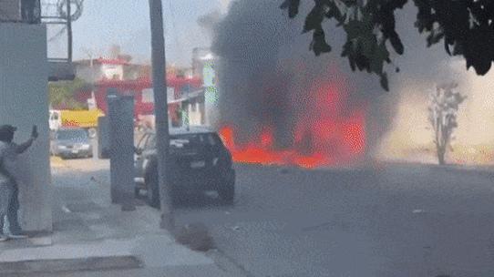 Cartel do méxico GIF