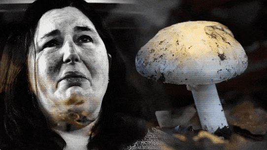 There were 10 hurdles Erin Patterson needed to jump, writes John Silvester.