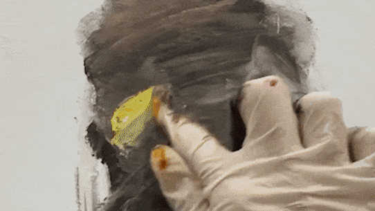 Loribelle Spirovski paints with her fingers.