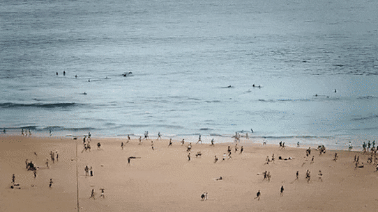 People are avoiding Bondi.