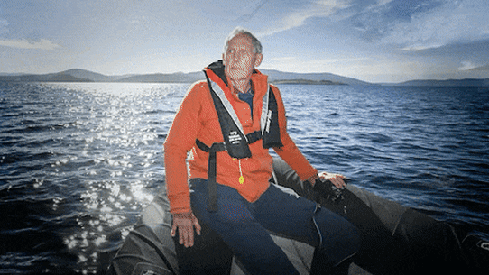 Salmon farming in Tasmania has become central to the federal election campaign. 
