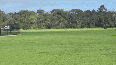 Melbourne park evacuated after dynamite find