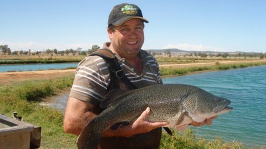 Rocket Tiger’s owner-breeder and fish farmer Noel Penfold.