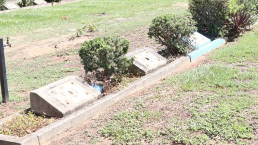 Six headstones were damaged when 52 brass plates were stolen from the Caboolture and Districts Lawn Cemetery.