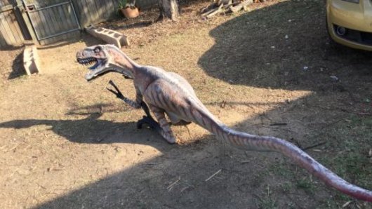 The dinosaur had been missing since 2016.
