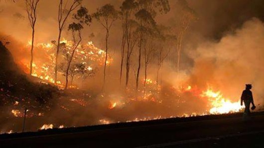 The sight that confronted firefighters at the Cunninghams Gap firefront in Queensland's Scenic Rim this week.