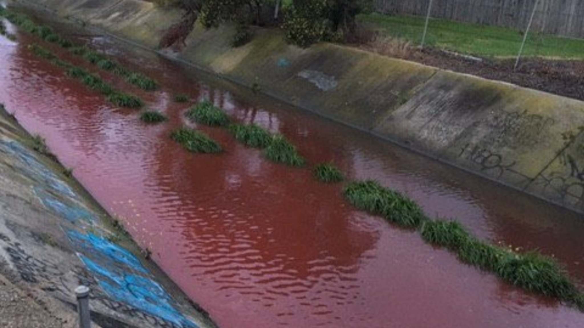 墨尔本亚裔区附近河流受严重污染，溪水一片血红！当局警告居民远离河段（组图） - 1