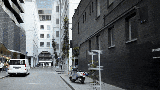 This French city was once a crime hub. It could teach Melbourne how to green its laneways