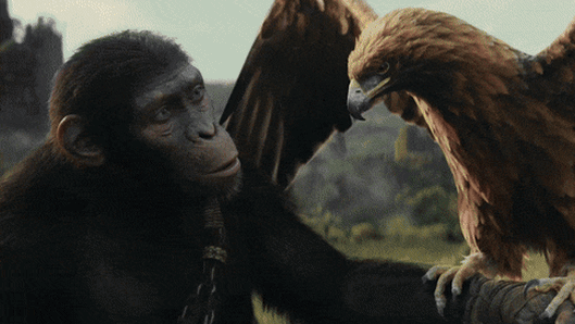 Is Aussie-made reboot the evolutionary leap Planet of the Apes needs?