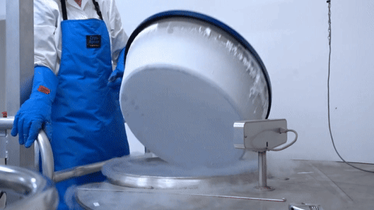 Meet the scientist playing God by cryo-freezing 100 species