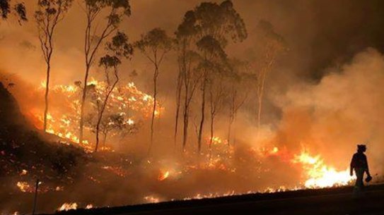 The sight that confronted firefighters at the Cunninghams Gap firefront in Queensland's Scenic Rim this week.