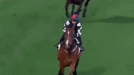 Star jockey James McDonald hits the turf, as Cox Plate runner gallops free in Moonee Valley mishap