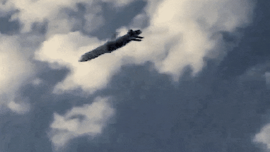 A Storm Shadow cruise missile in flight.