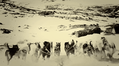 ‘This is not a joke’: Could the US buy Greenland?