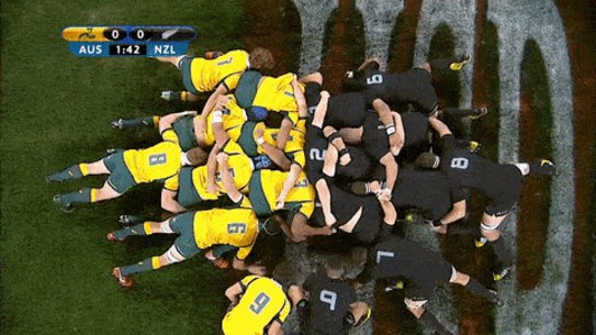 Rugby scrum during Bledisloe Cup clash