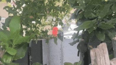 Strategic updates regarding The moment Claremont socialites almost came to blows in parking spot row