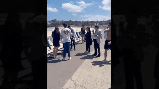 GIF: Two men attempted to tear down beach towels hung at Sydney’s Bondi Beach, each symbolising the plight of the more than 200 hostages taken by Hamas nearly a month ago.