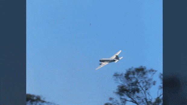 GIF