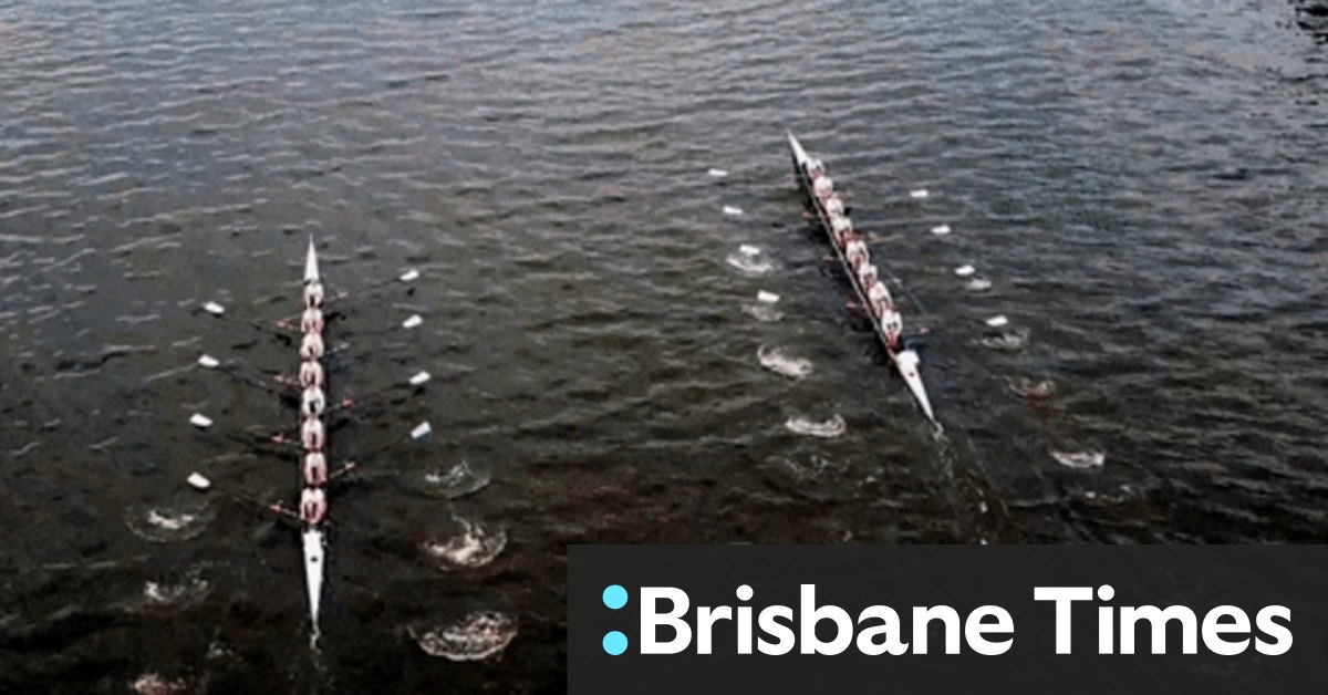 Inside King's, Scots and other Sydney GPS schools' elite schoolboy rowing competitions - Vimarsana News