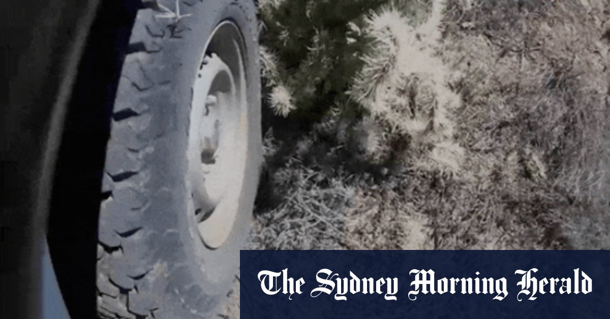 The Hudson Pear: Australia's next big environmental catastrophe - Vimarsana News