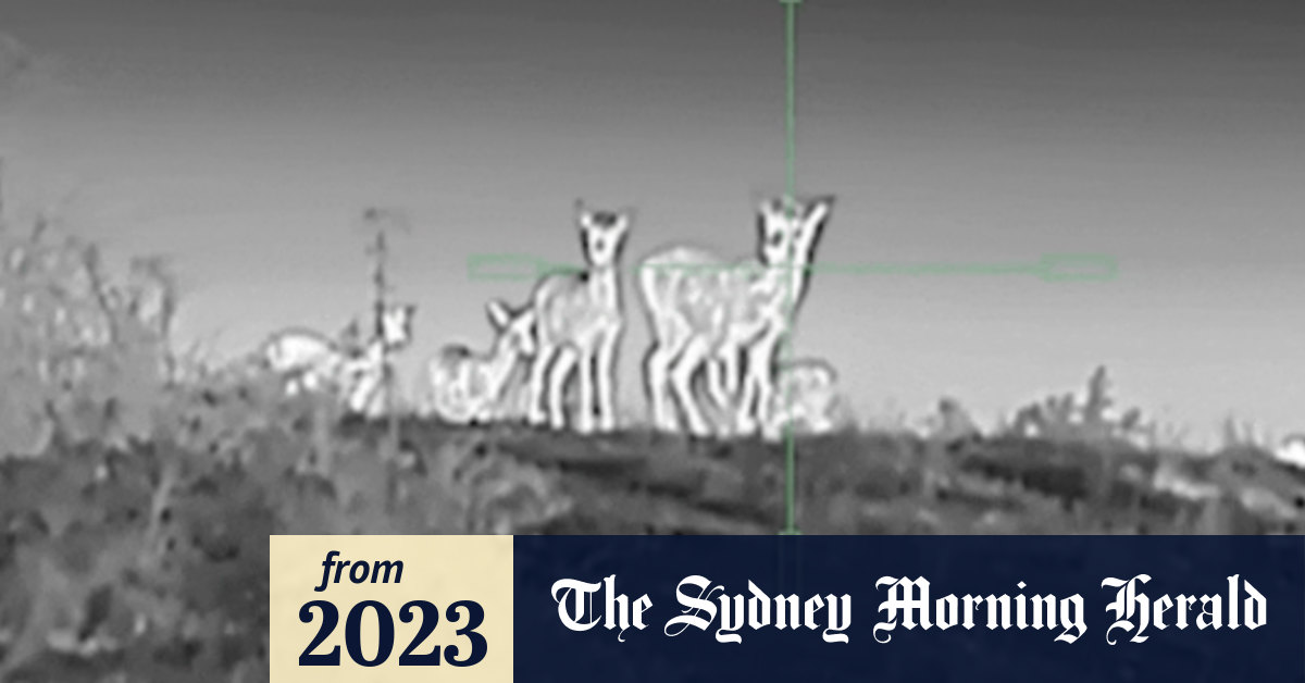 www.smh.com.au