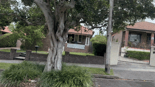 Haberfield houses.