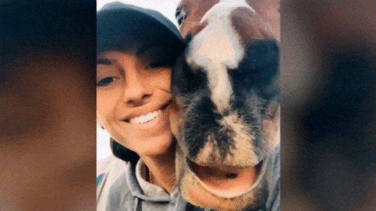 The NSW Coroner is investigating the circumstances surrounding the 2022 death of jockey Marina Morel.