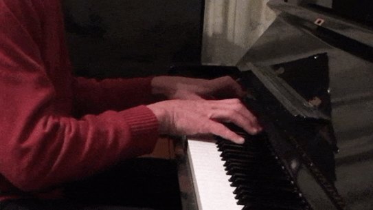 The author, a self-proclaimed Don Quixote of the keyboard, pursues his musical quest at home. 