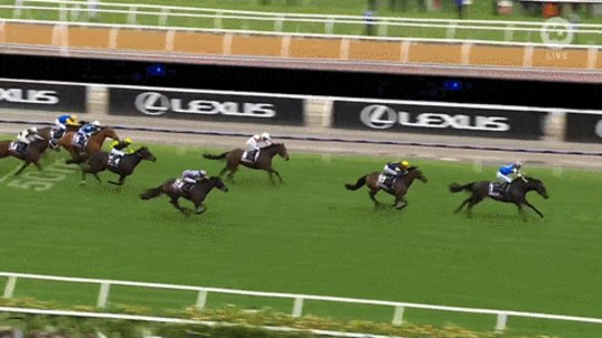 Gold Trip wins Melbourne Cup.