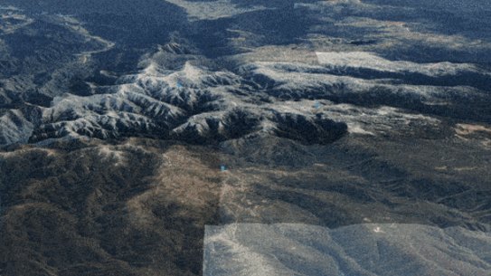 Dargo High Plains logging coupes.