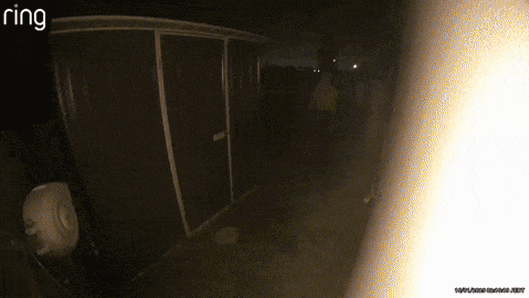Police released footage of the moment arsonists set fire to a home in Melbourne’s west, killing an innocent woman and dog trapped inside.