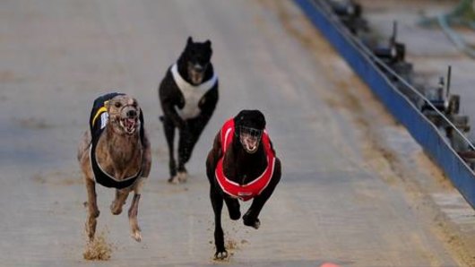 Canberra Greyhound club will hold its last race at Symonston on April 29.
